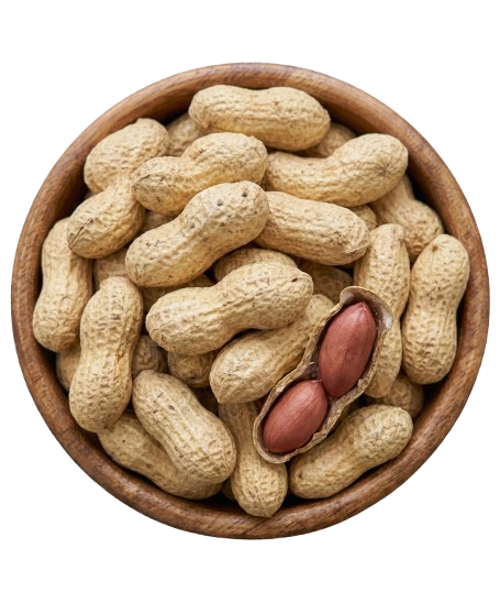 Premium Bowl of Nuts